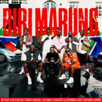 Mr Pilato, Ego Slimflow & Tebogo G Mashego - Biri Marung (Edit) [feat. Sje Konka, Focalistic, DJ Maphorisa, Scotts Maphuma & CowBoii]