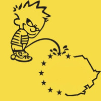 Martha Logue - Votati cu cap nu cu CUR