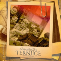 BasBariTenori, Willi Resetarits - Ternjice